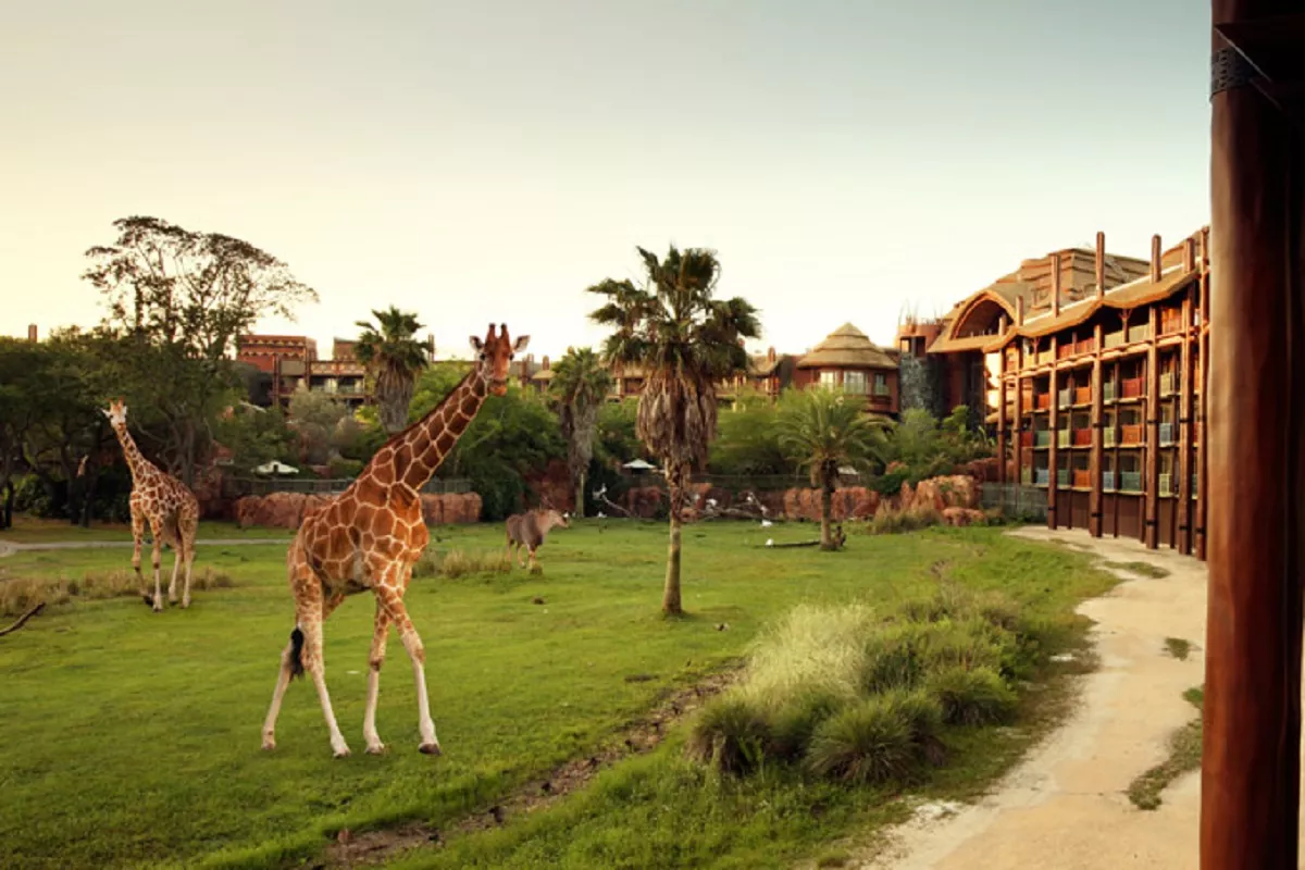 Disney's Animal Kingdom Lodge