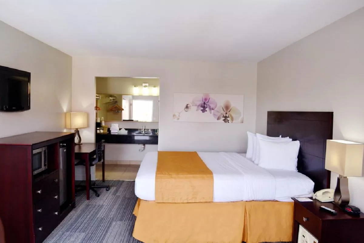 quality-inn-&-suites-by-the-parks-3